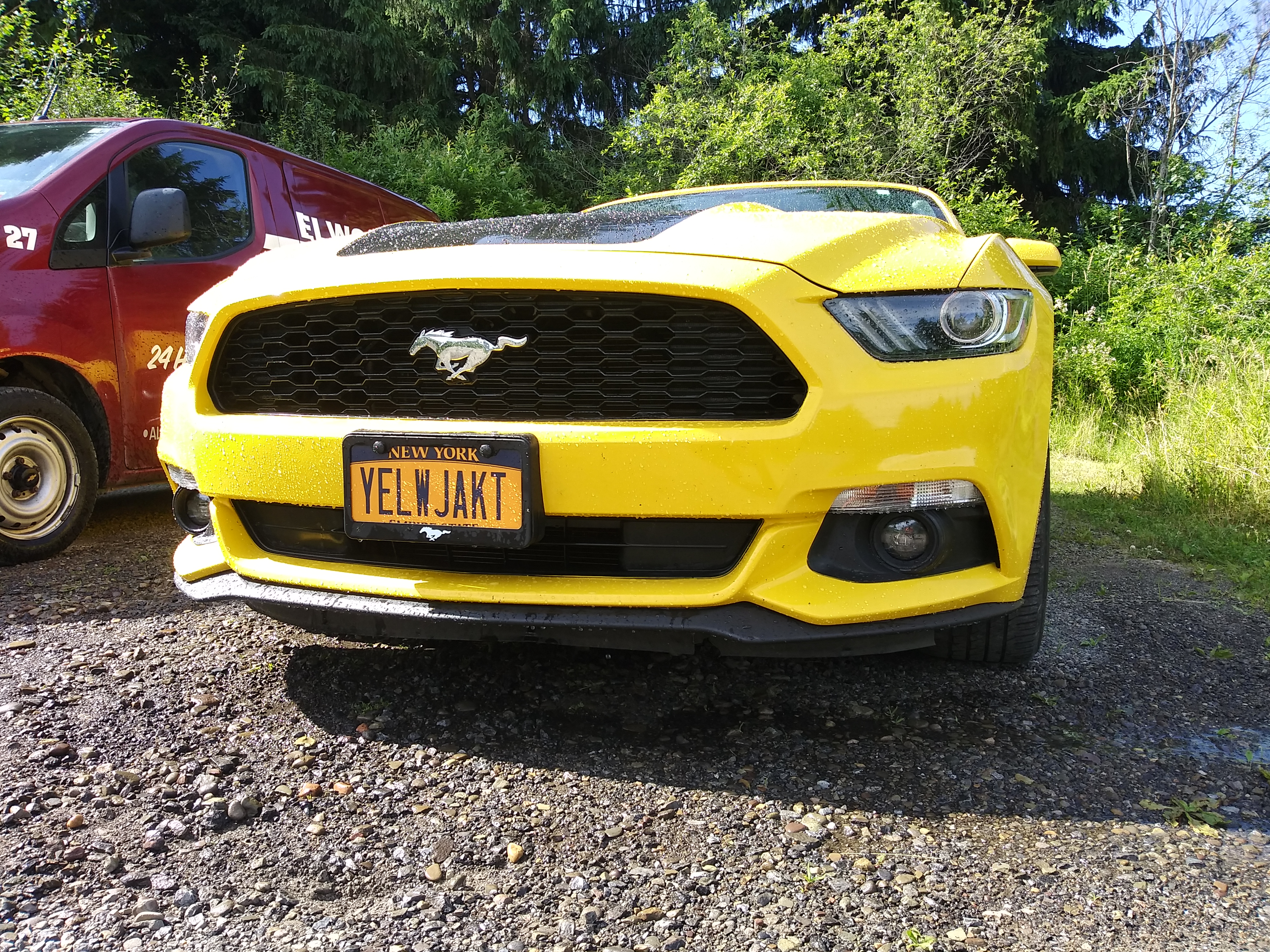 20190701_164801_HDR.jpg