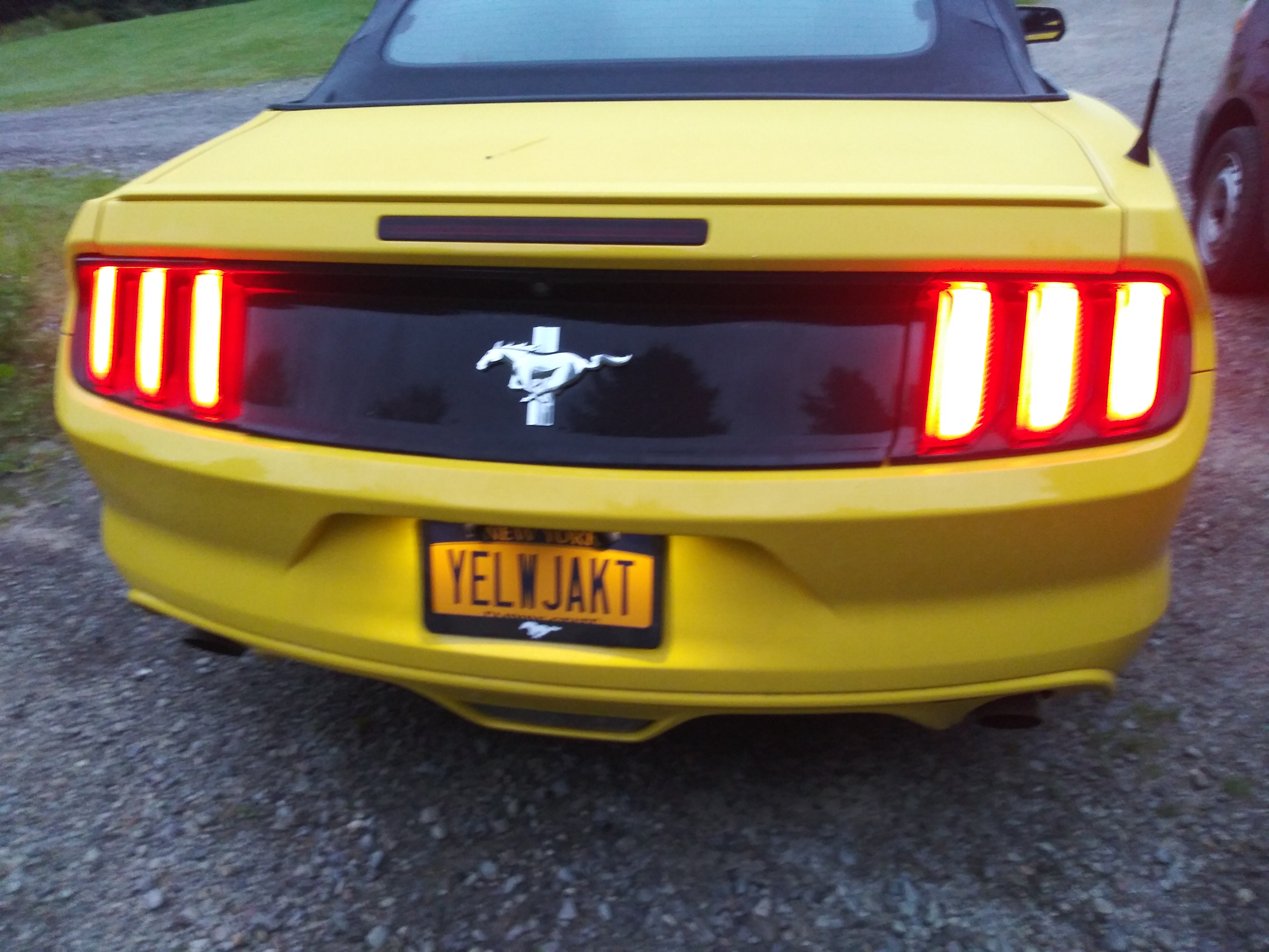 20190702_054432.jpg