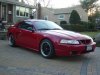 my stang3.jpg