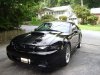 MUSTANG MATTE STRIPES 007.JPG