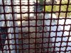 041.JPG