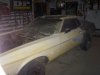 000_0277.JPG