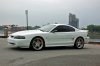 DSC_0294_edited.jpg