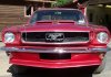 mustang1.jpg