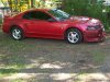 100_0435.JPG