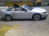 my mustang.jpg