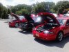 Turbo in the line up (2).jpg