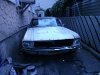 Mustang - ful front larger.jpg