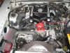 big daddys 1989 mustang 003.jpg