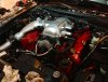 999051_10200615221041936_330933585_n.jpg