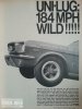 10906186_765038546883656_8762327491167055137_n.jpg