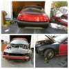 Mustang 3.jpg