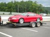 MUSTANG MAGIC Saturday June last week 2009 008.jpg