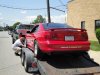 MUSTANG MAGIC Saturday June last week 2009 043.jpg