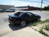 MUSTANG MAGIC Saturday June last week 2009 049.jpg