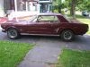 mustang 001.jpg