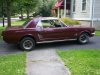 mustang 003.jpg