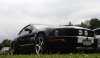 MoStang_Front_Low.jpg