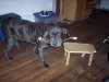 000_0132.jpg
