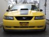 IMG_1485b.jpg