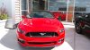 IMG_20160613_165818.jpg