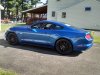 mustang3.jpg