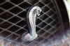 2008_Shelby_GT500_KITT_Knight_Rider_Picture_Car_a0c179165a8cd03dd997_5.jpg