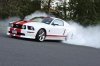 The Iron Mustang