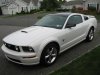 Salstang