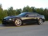 Stang