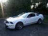 Shelby