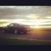 My Stang