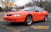 The Stang