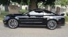 MusTang Steve