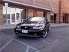 May mustang.jpg