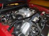 96Cobra2.jpg
