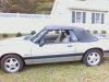 downsized_1004091634.jpg
