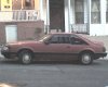 91 mustang.jpg