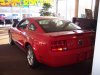 09 Stang.jpg