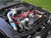 P5250018-2.JPG