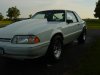 DSC00585.JPG