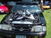 7-23-09 037.JPG
