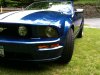 stang1.jpg