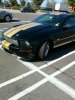 Shelby GT-H 3.jpg