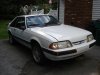 fresh stang 010.JPG
