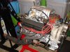 fresh stang 014.JPG