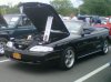 liashow1.jpg