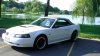 PIC_0005 - Copy.JPG