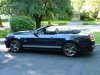 Shelby780.JPG