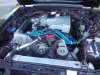 2010-08-29 18.14.52.jpg